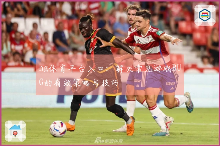 ng体育平台入口：解决常见游戏BUG的有效策略与技巧