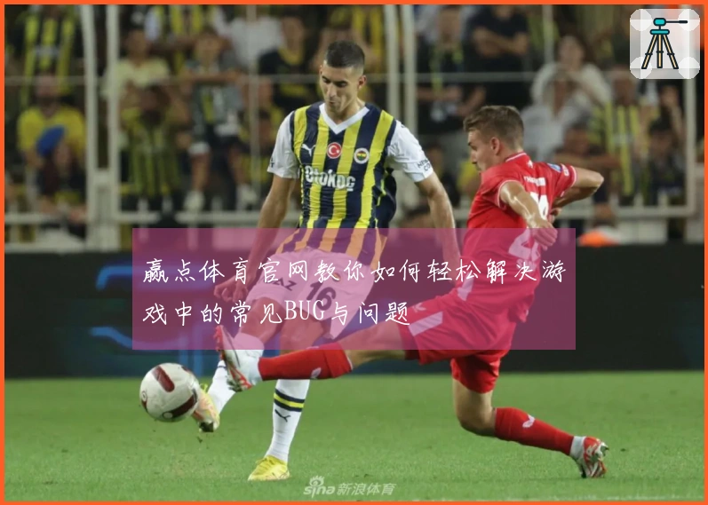赢点体育官网教你如何轻松解决游戏中的常见BUG与问题