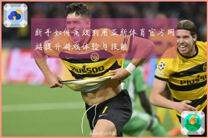 新手如何高效利用亚新体育官方网站提升游戏体验与技能